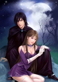 夫君猛如虎：腹黑王爺盜墓妃