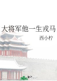 大将军他一生戎马